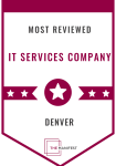 Most Reviewed IT Services Company